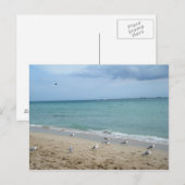 Zand en Zeemeeuwen Briefkaart (Voorkant / Achterkant)