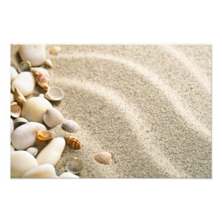 Zand met schalen en stangen. Beach-samenstelling Foto Afdruk