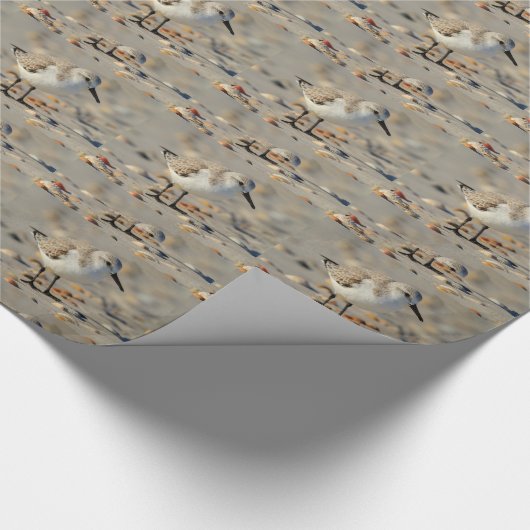 Zand Piper en Seashells Cadeaupapier (Hoek)