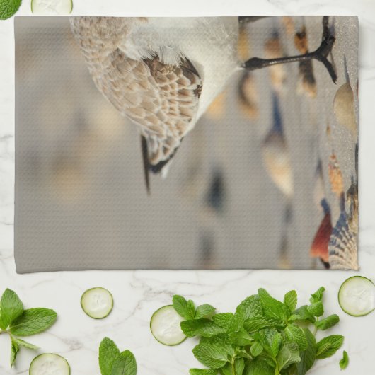 Zand Piper en Seashells Theedoek (Gevouwen)