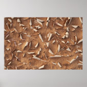 Zand Poster (Voorkant)