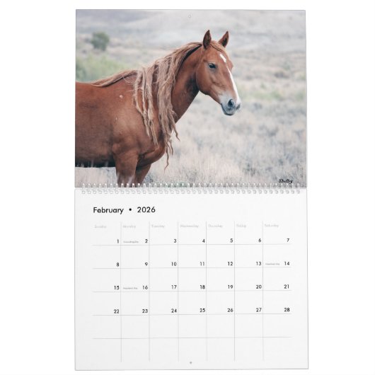 Zand wasbekken 2021 Agenda Kalender (Feb 2026)