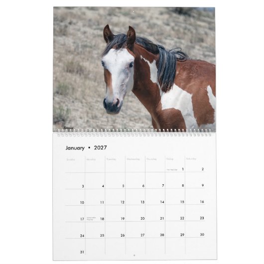 Zand wasbekken 2021 Agenda Kalender (Jan 2027)
