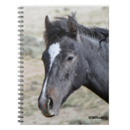 Zand wasbekken Poseidon-laptop Notitieboek