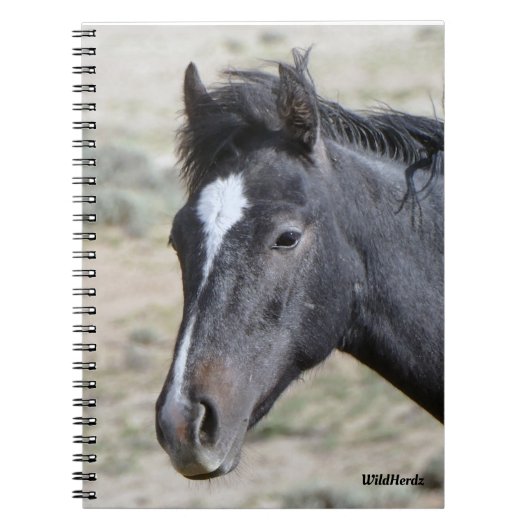 Zand wasbekken Poseidon-laptop Notitieboek (Voorkant)