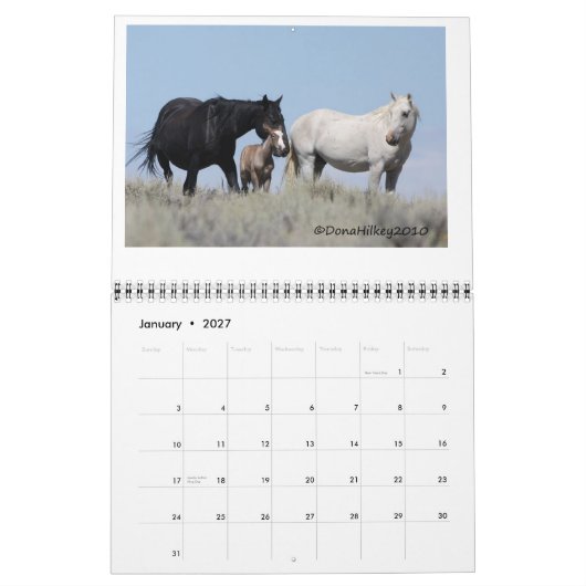 Zand wasbekken Wilde paarden Calander Kalender (Jan 2027)
