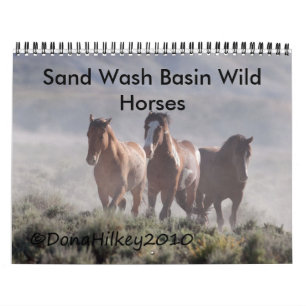 Zand wasbekken Wilde paarden Calander Kalender