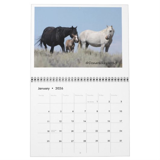 Zand wasbekken Wilde paarden Calander Kalender (Jan 2026)