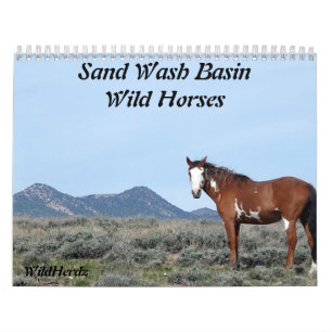 Zand wasbekken Wilde paarden Kalender