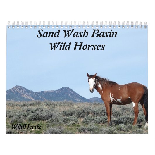 Zand wasbekken Wilde paarden Kalender (Hoes)