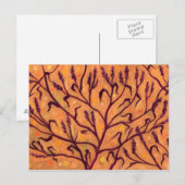 Zandbloem Pepper Wilde bloemen Kunst Briefkaart (Voorkant / Achterkant)