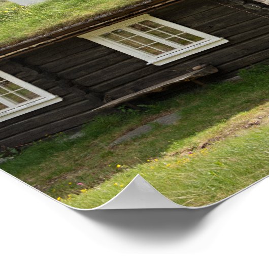 Zanddak in het Noorse poster (Hoek)