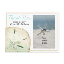 Zanddollar Bedankt Strand Foto