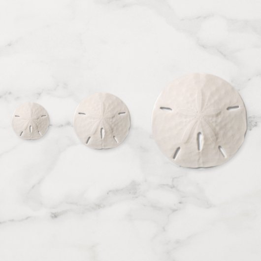 Zanddollar Confetti (Voorkanten)