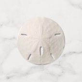 Zanddollar Confetti (Kleine voorkant)