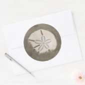 Zanddollar (Echinarachnius parma) Ronde Sticker (Envelop)