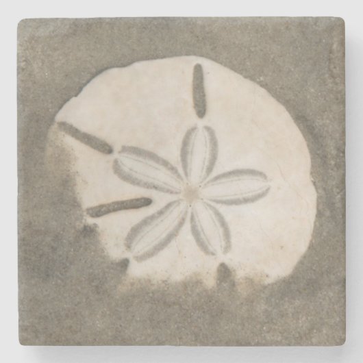 Zanddollar (Echinarachnius parma) Stenen Onderzetter (Voorkant)