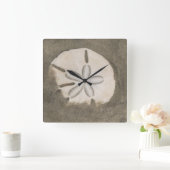 Zanddollar (Echinarachnius parma) Vierkante Klok (Huis)