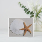 Zanddollar en zeestervis briefkaart (Staand voorkant)