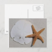 Zanddollar en zeestervis briefkaart (Voorkant / Achterkant)