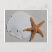 Zanddollar en zeestervis briefkaart (Voorkant)