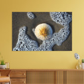 Zanddollar in de foto van het Surf strand Canvas Afdruk (Insitu (Woonkamer))