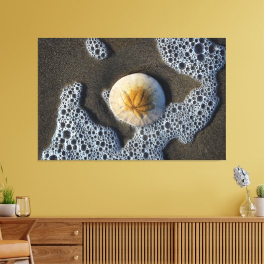 Zanddollar in de foto van het Surf strand Canvas Afdruk (Insitu (Woonkamer))