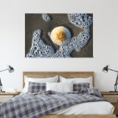 Zanddollar in de foto van het Surf strand Canvas Afdruk (Insitu (Slaapkamer))