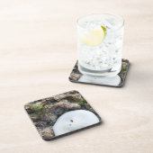 Zanddollar in het Fiji-rif bij laag tij Bier Onderzetter (Rechterzijde)