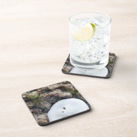 Zanddollar in het Fiji-rif bij laag tij Bier Onderzetter (Rechterzijde)