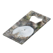 Zanddollar in het Fiji-rif bij laag tij Creditkaart Flessenopener (Achterkant Gekanteld)