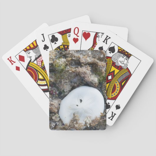 Zanddollar in het Fiji-rif bij laag tij Speelkaarten (Achterkant)