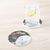 Zanddollar in het Fiji-rif bij laag tij Zandsteen Onderzetter (Zijkant)