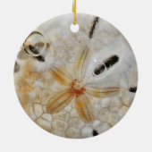 Zanddollar onder water keramisch ornament (Achterkant)