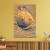 Zanddollar op strand | Hilton Head Island Canvas Afdruk (Insitu (Woonkamer))