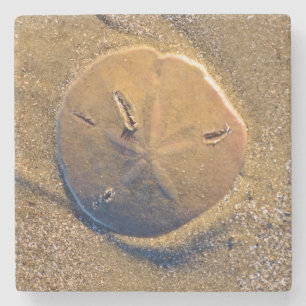 Zanddollar op strand Hilton Head Island Stenen Onderzetter