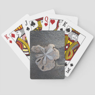 Zanddollar op zand pokerkaarten