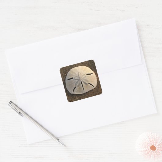 Zanddollar Seashell Sticker Custom Decals (Envelop)