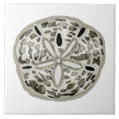 Zanddollar Tegeltje (Voorkant)