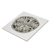 Zanddollar Tegeltje (Zijkant)