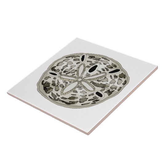 Zanddollar Tegeltje (Zijkant)