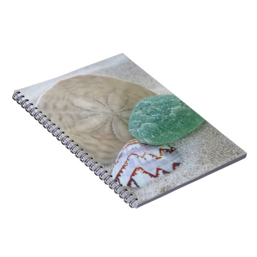 Zanddollar, zeeschol en zee glas - notitieboek (Rechterzijde)