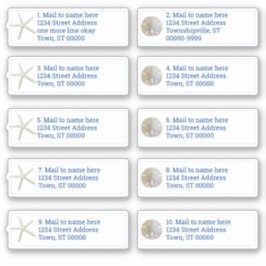 Zanddollar Zeesterren Wit Individuele Verzending Sticker