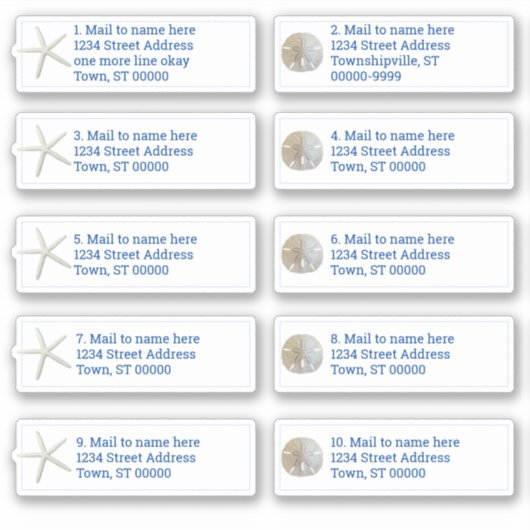 Zanddollar Zeesterren Wit Individuele Verzending Sticker (Voorkant)