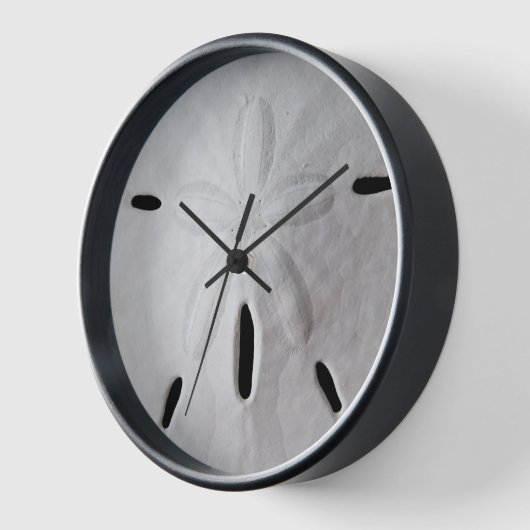 Zanddollar zwart-wit strand zomer klok (Hoek)