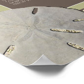 Zanddollarkant,  Strand Tafelplan Poster (Hoek)