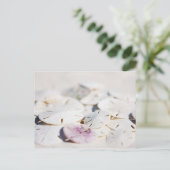 Zanddollars Briefkaart (Staand voorkant)