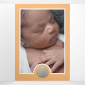 Zanddollars & Burlap, 3 Fotocollage Baby Geboorte Drieluik Aankondiging (Binnenkant midden)