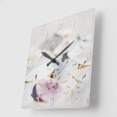 Zanddollars Vierkante Klok (Hoek)