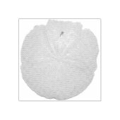 Zanddollarstempel Rubberstempel (Afrduk)